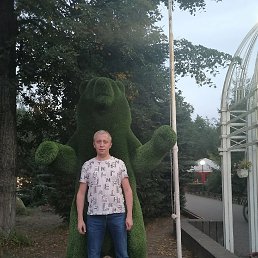 ���� �����, ���������, 40 ��� - ��������� 10 ������ 2023