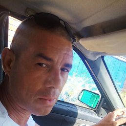 ���� ����� ��������, ���������, 44 ���� - ��������� 25 ������� 2026