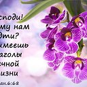 ���� ����, ������, 55 ��� - ��������� 14 ��� 2024 � ������ ���� ����������