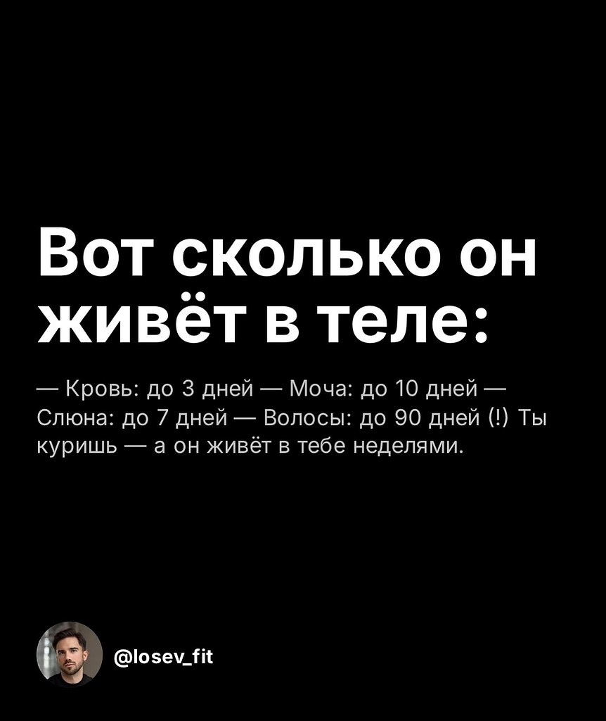 НОЧЬ - 27 октября 2025 в 20:16 - 3
