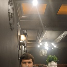  , 31 , 