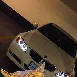 ����, ���������, 26 ���