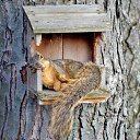  ,  , 64  -  21  2025    