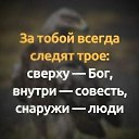 ���� ������ � ����))), ������, 40 ��� - ��������� 3 ���� 2024
