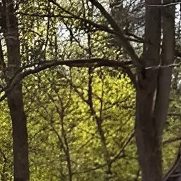 ����, ����, 34 ����