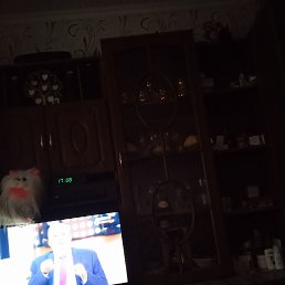 ���� ������, �������, 53 ���� - ��������� 13 ��� 2026