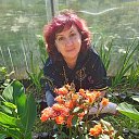 ���� �������-�����������, ������������, 51 ��� - ��������� 5 ������� 2025