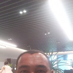 , 41, 