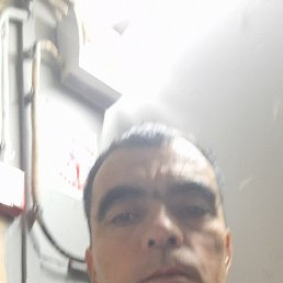 , 45, 