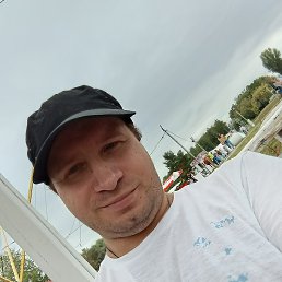 �������, ���������, 37 ���