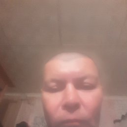 �����0, 48 ���, ������������