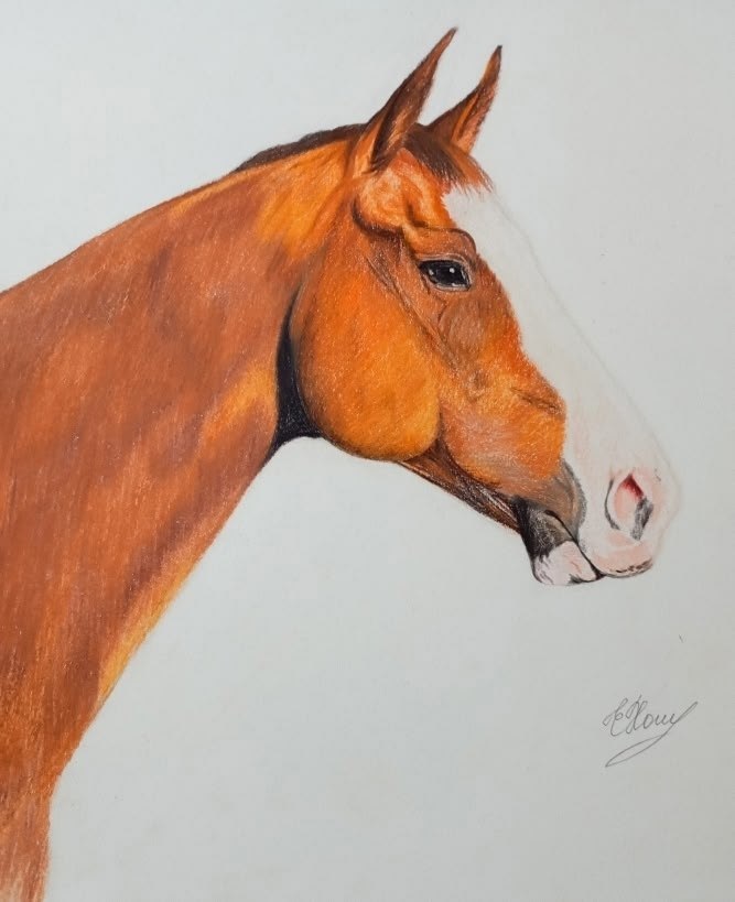 �������� ������� � ���� ����������. - 2