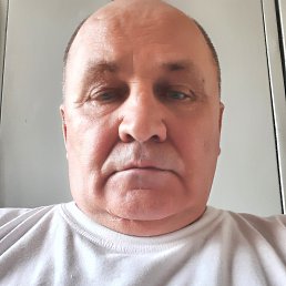 , 66, 
