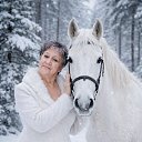 ���� �������, ������, 68 ��� - ��������� 11 ������ 2026 � ������ ���� ����������