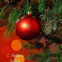 ������, ����, 49 ���