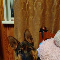 ���� ���� ����, ������, 42 ���� - ��������� 15 ������� 2024