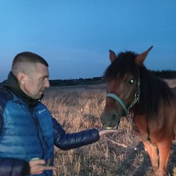 ���� ���������, ����, 45 ��� - ��������� 18 ������ 2024