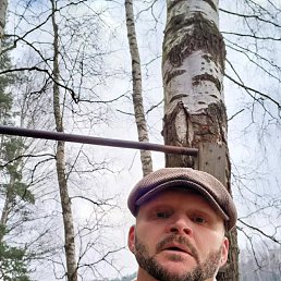 ���� �����, �����-���������, 48 ��� - ��������� 29 ���� 2025