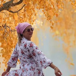 ������, �����������, 50 ���