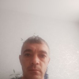 ������, 41 ���, ����