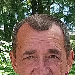 , 54, 