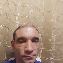 ����, 41 ���, ������