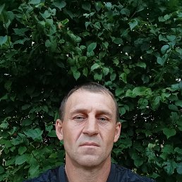 , 45, 