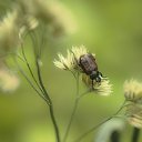 ���� �������, ���������, 42 ���� - ��������� 14 ���� 2026 � ������ ������ ��������