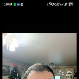 ����, 41 ���, ����