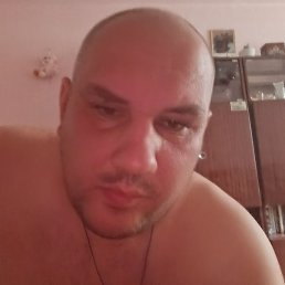 �������, �����, 40 ���