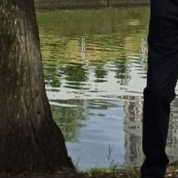 ������, ������������, 54 ����