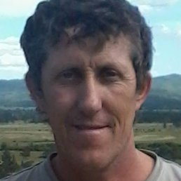 ������, ����������, 55 ���