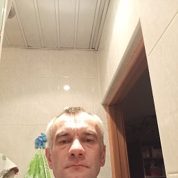 ���� ������, ������, 41 ��� - ��������� 4 ���� 2026