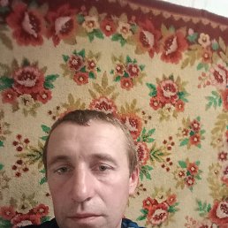 , 32, 