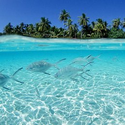 ���� �����, ��������, 39 ��� - ��������� 26 ������ 2023