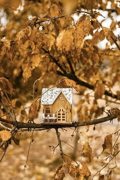             : 1. In my free ... - 2