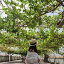 ���� ��������, ��������� - ��������� 24 �������� 2024 � ������ ���� ����������