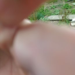 ���� ������, �����, 63 ���� - ��������� 26 ������ 2025
