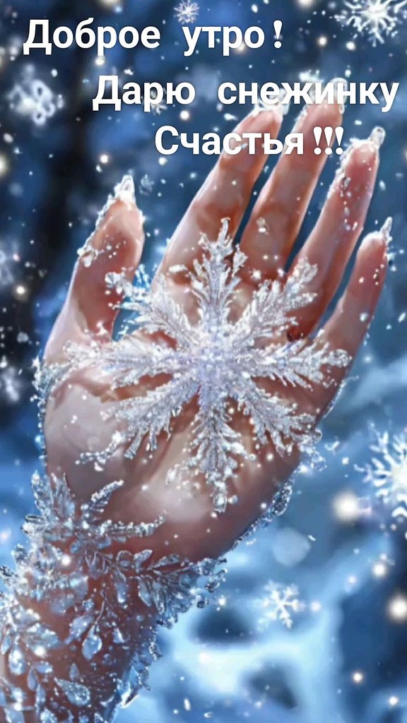   ,    . - 2  2025  00:53 - 3