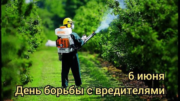 Именины:Ксения, Степан, Григорий, Семен. - 6