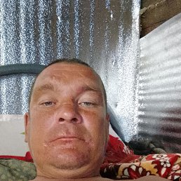 , 41 , 