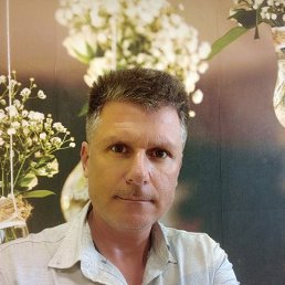 ���� �������, ��������� - ��������� 8 ������ 2026