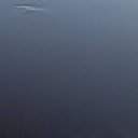 ���� ���������, ������������, 42 ���� - ��������� 17 ���� 2024