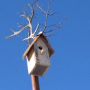 ���� ���� � �������� �� ���������� ..., ����� - ��������� 13 ������ 2025 � ������ ���� ����������