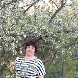 ���� ������, ��������, 68 ��� - ��������� 31 ������� 2023