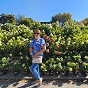  , --, 59  -  14  2025    