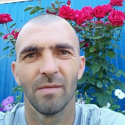 �������, ����������, 46 ���