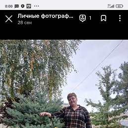 ���� ��� �������, ����, 49 ��� - ��������� 29 ������ 2025