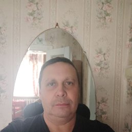 , 51, 