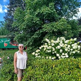 ���� �������, �����-��������� - ��������� 1 ������� 2026